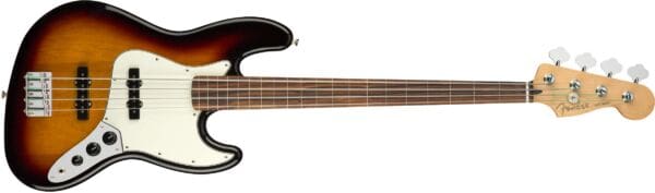 Fender Bass guitar Fretless