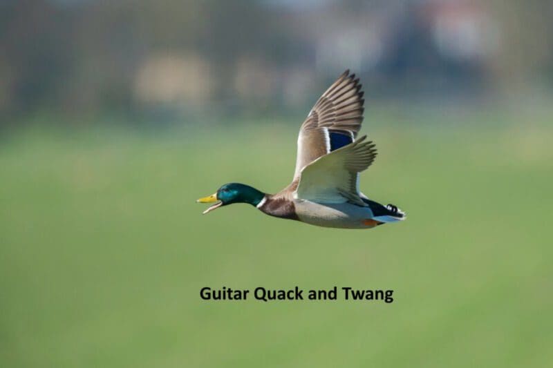 Guitar tones Quack and Twang.